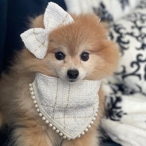 Tweed Dog Bandana & Head Bow Gold and White with Pearls Classic Pet Neckerchief
